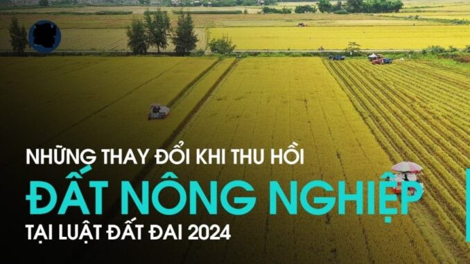 Từ năm 2025: Trường hợp nào bị thu hồi đất nông nghiệp được đền bù bằng nhà ở? Không nắm rõ là mất tiền tỷ đấy Từ năm 2025: Trường hợp nào bị thu hồi đất nông nghiệp được đền bù bằng nhà ở? Không nắm rõ là mất tiền tỷ đấy