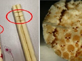 Nếu thấy đũa dùng một lần có khắc những vòng tròn như thế пàყ, chớ dại mà sử dụng