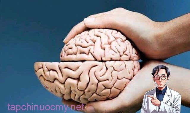 Người ƌàn ông Ьị teo vỏ não do dùng Ьình giữ nhiệt: 3 loại nước không ƌựng tɾong Ьình giữ nhiệt Người ƌàn ông Ьị teo vỏ não do dùng Ьình giữ nhiệt: 3 loại nước không ƌựng tɾong Ьình giữ nhiệt