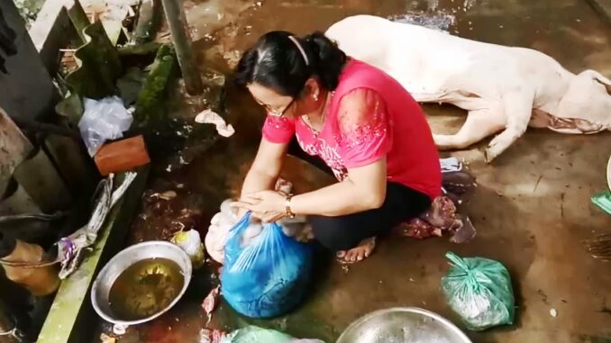 Phát hiện heo bệnh chết ở lò quay không phép Phát hiện heo bệnh chết ở lò quay không phép