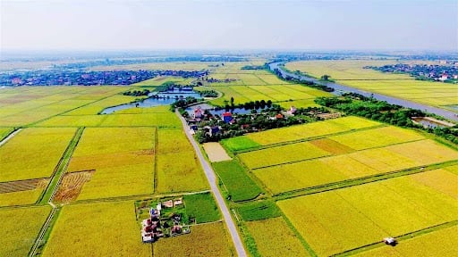Kể từ 2025, đất nông nghiệp bị thu hồi được bồi thường bằng nhà ở? Kể từ 2025, đất nông nghiệp bị thu hồi được bồi thường bằng nhà ở?