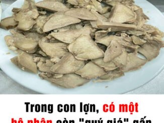 Một bộ phận của lợn nhiều người chê bẩn nhưng có thể đem lại 6 lợi ích tuyệt vời