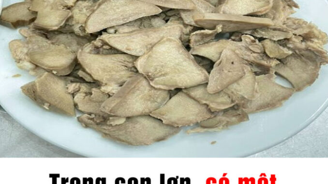 Một bộ phận của lợn nhiều người chê bẩn nhưng có thể đem lại 6 lợi ích tuyệt vời