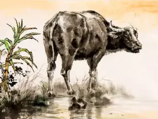 Sau đêm nay 3 tuổi thời tới cản không được, may mắn liên tục, no nê tài lộc giàu khủng