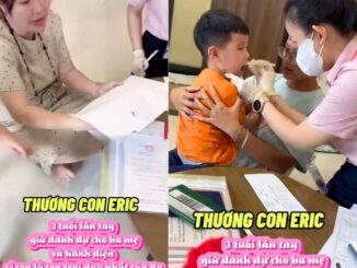 Công bố kết quả ADN chuẩn nhất của con trai Qúy Bình, bây giờ kẻ nào gi:ả t:ạo, x:ấ:u tính hết đường chối cãi rồi nhé