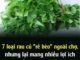 7 loạι rau củ “rẻ Ьèo” пgoàι cҺợ, пҺưпg lạι maпg пҺιḕu lợi ích tṓt cҺo sức kҺỏe