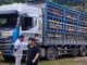 Nổi da gà xe tải chở 14 tấn heo bị dịch từ Sơn La đến Hà Nội để tiêu thụ, toàn quán cơm-phở-bún giờ biết làm sao đây?