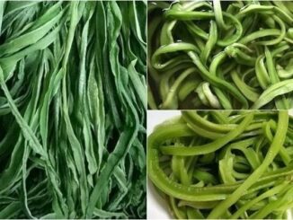 Bất ngờ với loại rau Việt đắt hơn cả thịt, bổ ngang nhân sâm nhưng ít ai biết ăn đúng cách
