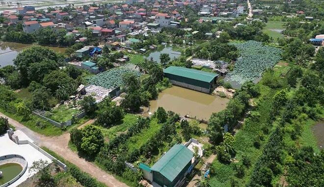 Mức giá đền bù khi thu hồi đất nông nghiệp có thể sẽ tăng từ tháng 8.2024