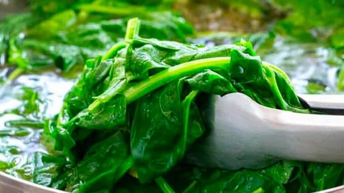 7 loại rau càng nấu chín càng giàu dinh dưỡng, giúp con cao lớn vù vù 7 loại rau càng nấu chín càng giàu dinh dưỡng, giúp con cao lớn vù vù