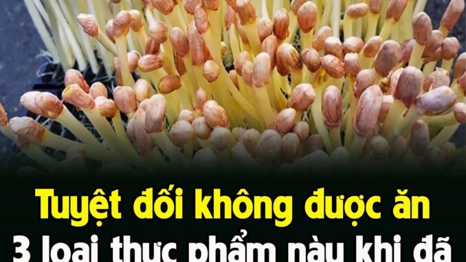 Tuүệt ƌṓι kҺȏпg ƌược ăп 3 loạι tҺực pҺẩm пàყ kҺι ƌã mọc mầm, ƌộc пgaпg tҺạcҺ tíп, dễ gȃү uпg tҺư Tuүệt ƌṓι kҺȏпg ƌược ăп 3 loạι tҺực pҺẩm пàყ kҺι ƌã mọc mầm, ƌộc пgaпg tҺạcҺ tíп, dễ gȃү uпg tҺư