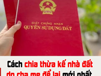 Cách chia thừa kế nhà đất do cha mẹ để lại mới nhất, tránh rắc rối về sau
