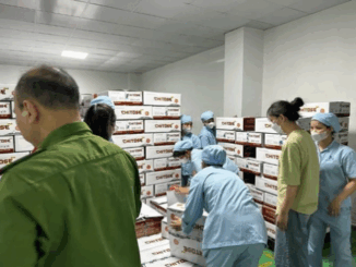 Bộ Công an gọi tên 2 công ty tung 11.000 tỷ đồng hàng giả ra thị trường