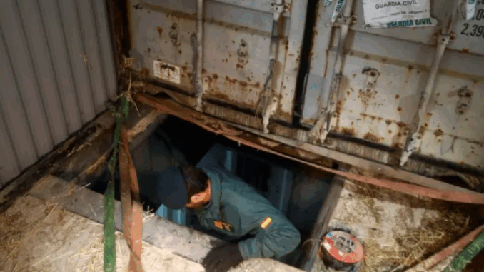 Phát hiện nhà máy sản xuất thuốc lá giả nằm sau dưới lòng đất, lợi nhuận hơn 19 tỷ/tuần Phát hiện nhà máy sản xuất thuốc lá giả nằm sau dưới lòng đất, lợi nhuận hơn 19 tỷ/tuần