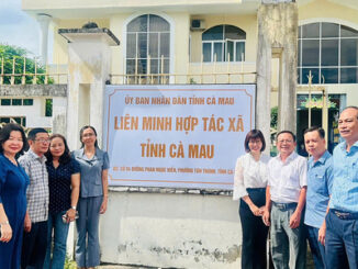 Liên minh HTX Việt Nam thúc đẩy giảm nghèo bền vững tại Cà Mau với mô hình nuôi nghêu kết hợp du lịch cộng đồng