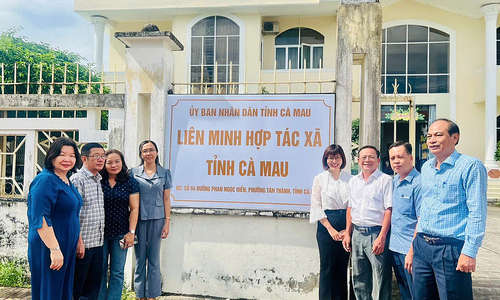 Liên minh HTX Việt Nam thúc đẩy giảm nghèo bền vững tại Cà Mau với mô hình nuôi nghêu kết hợp du lịch cộng đồng