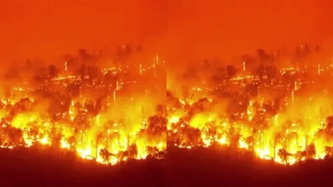 Cháy rừng ở Canada: Diện tích bị thiêu rụi gần bằng một quốc gia châu Âu