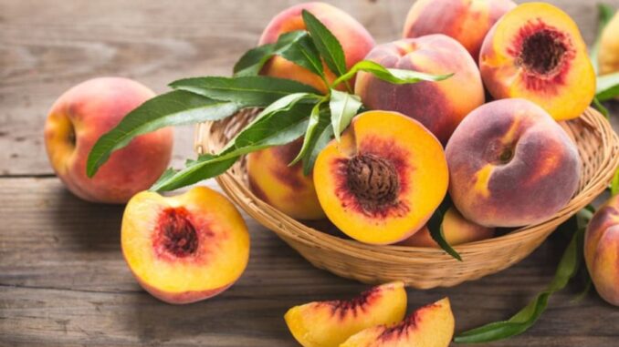 Tuyệt đối không ăn đào cùng 3 loại thực phẩm này kẻo rước họ;a vào thân Tuyệt đối không ăn đào cùng 3 loại thực phẩm này kẻo rước họ;a vào thân