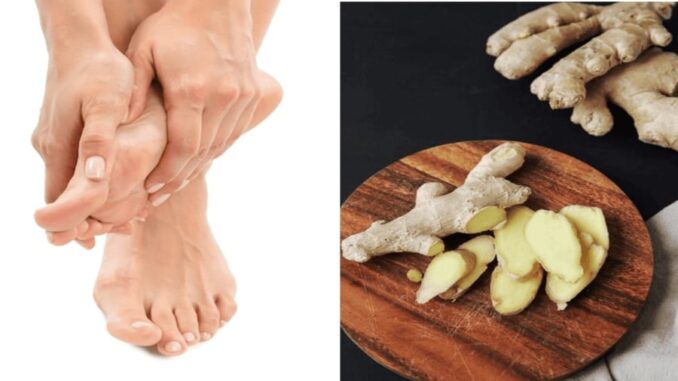 Xoa gừng vào lòng bàn chân trước khi đi ngủ, bạn sẽ nhận thấy những công dụng “thần kỳ” đối với sức khỏe Xoa gừng vào lòng bàn chân trước khi đi ngủ, bạn sẽ nhận thấy những công dụng “thần kỳ” đối với sức khỏe