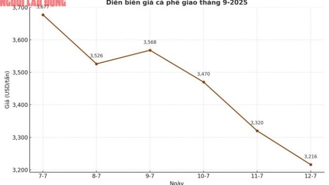 Giá cà phê hôm nay 12-7: Rơi tiếp, mốc 90.000 đồng/kg cũng không còn Giá cà phê hôm nay 12-7: Rơi tiếp, mốc 90.000 đồng/kg cũng không còn