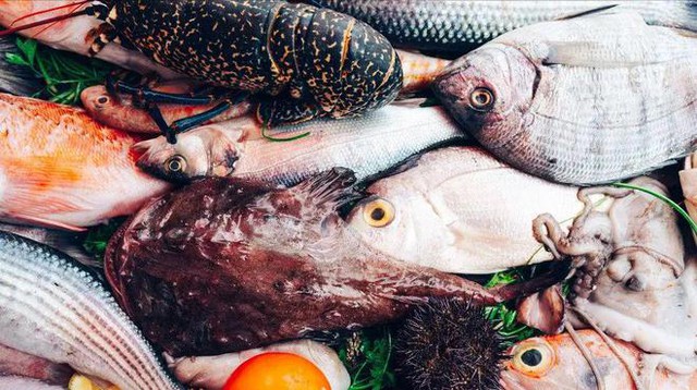 Ra chợ thấy 5 loại cá này phải mua ngay: Đều là cá hoang dã không nuôi được, sạch gấp 100 lần cá rô phi Ra chợ thấy 5 loại cá này phải mua ngay: Đều là cá hoang dã không nuôi được, sạch gấp 100 lần cá rô phi