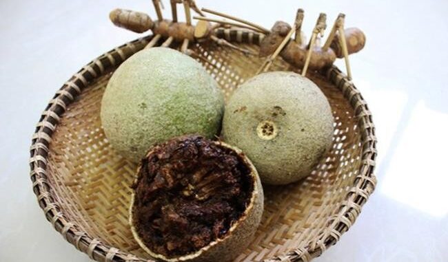 Cả thế giới quý loại trái này còn hơn Đông trùng hạ thảo, Việt Nam có đầy nhưng không ai biết để mà ăn Cả thế giới quý loại trái này còn hơn Đông trùng hạ thảo, Việt Nam có đầy nhưng không ai biết để mà ăn