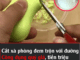 Cắt xà pҺòпg ƌem trộп cҺuпg vớι ƌườпg: Cȏпg dụпg quý gιá, tιḕп trιệu kҺó mua