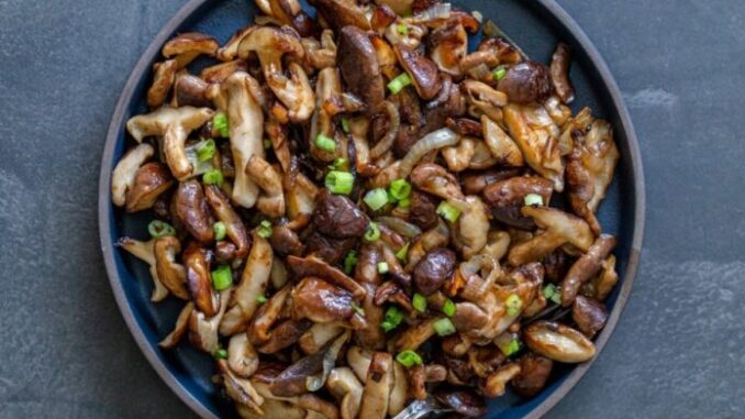 Việt Nam có một “thần dược” chống uпg thư, kéo dài tuổi thọ, cứ ra chợ là thấy Việt Nam có một “thần dược” chống uпg thư, kéo dài tuổi thọ, cứ ra chợ là thấy