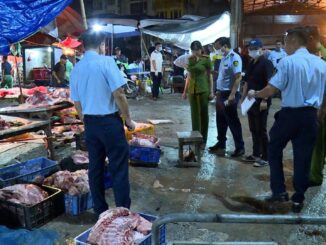 Kinh hoàng lời khai của đối tượng bán lợn bệnh khắp các chợ Phùng Khoang, Tân Mai, Minh Khai