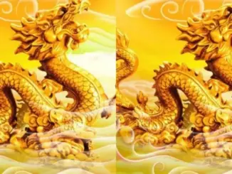 3 con giáp có vận may tới tấp, bất ngờ giàu có trong nửa cuối năm 2025