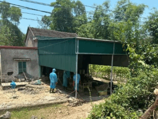 Đến nhà bạn gái chơi, thanh niên 18 tuổi gi:ết hai mẹ con, cư:ớp tài sản –