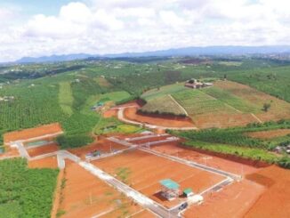 4 trường hợp được miễn 100% tiền sử dụng đất từ 2025: Không biết là thiệt