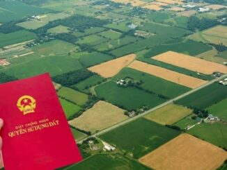 Năm 2025: Chuyển đất 50 năm sang đất thổ cư để xây nhà ở m-ất rất ít tiền, ai cũng nên biết