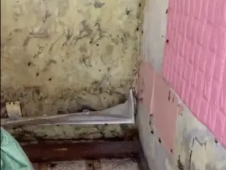 Vụ phòng trọ rác 'chất như núi' ở Ninh Bình: Hé l::::ộ bất ngờ về cô gái thuê phòng