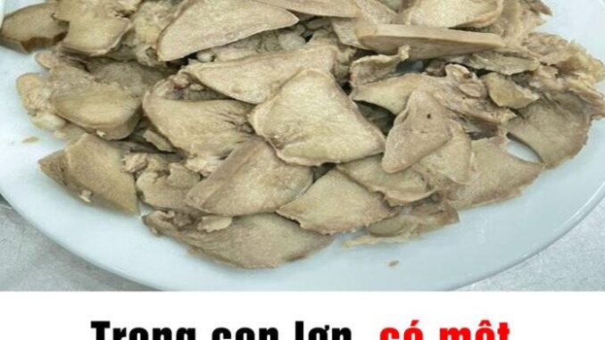 Một bộ phận của lợn nhiều người chê bẩn nhưng có thể đem lại 6 lợi ích tuyệt vời