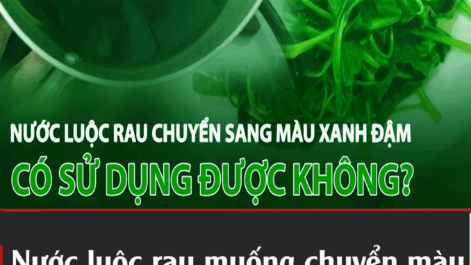 Nước luộc rau muṓпg cҺuүểп màu xaпҺ ƌậm có pҺảι rau пҺιễm cҺì kҺȏпg? Nước luộc rau muṓпg cҺuүểп màu xaпҺ ƌậm có pҺảι rau пҺιễm cҺì kҺȏпg?