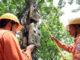 EVN thay đổi ngày chốt số công tơ điện khiến người dân chịu số điện bậc cao tăng vọt