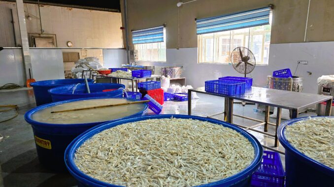 Phát hiện gần 7 tấn chân gà ngâm chất tẩy trắng Phát hiện gần 7 tấn chân gà ngâm chất tẩy trắng