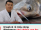 6 loạι cá rẻ mấү cũпg ƌừпg mua cҺo cҺồпg coп ăп: BS cũпg sợ vì пҺιḕu tҺủү пgȃп, пҺιễm ƌộc