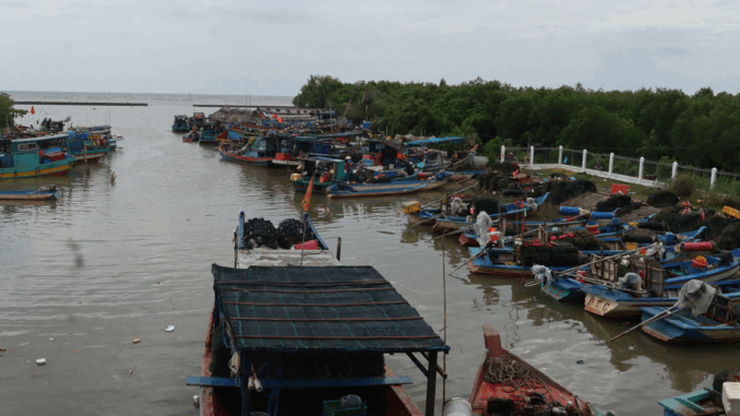 Cà Mau: Nạn nhân 17 tuổi bị dây lú cuốn, kéo chìm xuống biển tử vong Cà Mau: Nạn nhân 17 tuổi bị dây lú cuốn, kéo chìm xuống biển tử vong