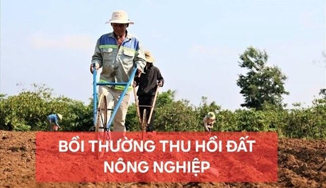 Điều kiện bồi thường mới bằng nhà ở, đất ở nếu bị thu hồi đất nông nghiệp Điều kiện bồi thường mới bằng nhà ở, đất ở nếu bị thu hồi đất nông nghiệp