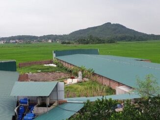Cách xây trang trại trên đất nông nghiệp đúng luật bạn nên biết