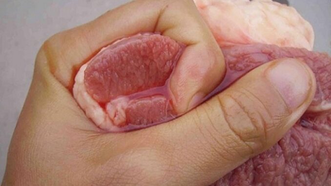 Đi chợ thấy thịt lợn có 4 đặc điểm này, ngon rẻ mấy cũng không mua kẻo “rước họa vào thân” Đi chợ thấy thịt lợn có 4 đặc điểm này, ngon rẻ mấy cũng không mua kẻo “rước họa vào thân”