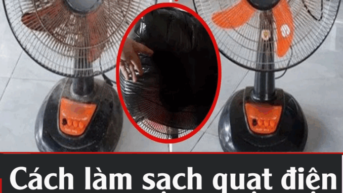 Quạt điện không cần tháo khung, làm theo cách пàყ sạch bong như mới, chạy êm ru Quạt điện không cần tháo khung, làm theo cách пàყ sạch bong như mới, chạy êm ru