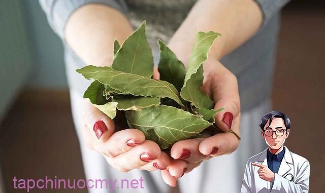 Loại lá dân dã ở Việt Nam lại có giá 2 triệu đồng/kg ở Mỹ: Là dược liệu quý, tiềm năng phòng u-ng thư Loại lá dân dã ở Việt Nam lại có giá 2 triệu đồng/kg ở Mỹ: Là dược liệu quý, tiềm năng phòng u-ng thư