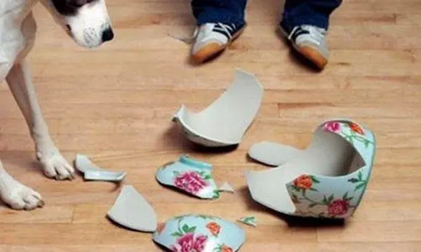 Nhà có 4 dấu hiệu này báo trước ngày lụi bại, su:y v:ong không còn xa, có 1/4 cũng nên thận trọng Nhà có 4 dấu hiệu này báo trước ngày lụi bại, su:y v:ong không còn xa, có 1/4 cũng nên thận trọng