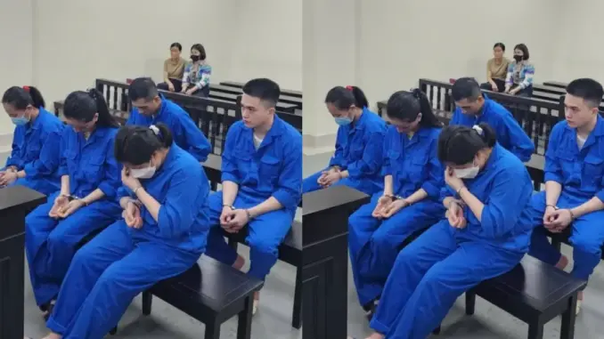 12 bé sơ sinh bị bán trao tay và thủ đoạn của các ‘mẹ mìn’