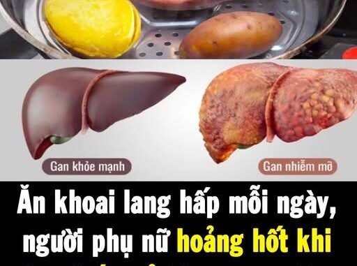 Ăn khoai lang hấp mỗi ngày, người phụ nữ hoảng hốt khi nhận kết quả khám gan: Sao lại như vậy được Ăn khoai lang hấp mỗi ngày, người phụ nữ hoảng hốt khi nhận kết quả khám gan: Sao lại như vậy được