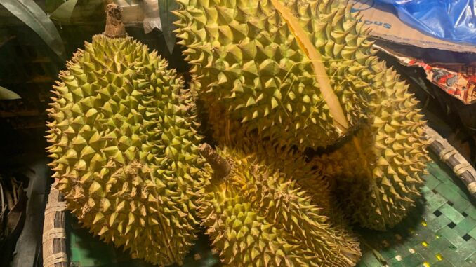 Trời ơi cứ c:.úng 3 quả này bảo sao m:.ất lộc Trời ơi cứ c:.úng 3 quả này bảo sao m:.ất lộc