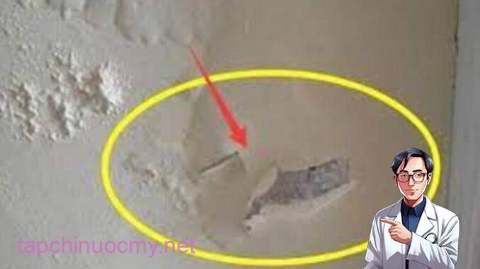 Mẹo xử lý tường nhà mốc lở, bong tróc: Cực dễ, không tốn tiền, nhà nào cũng làm được Mẹo xử lý tường nhà mốc lở, bong tróc: Cực dễ, không tốn tiền, nhà nào cũng làm được